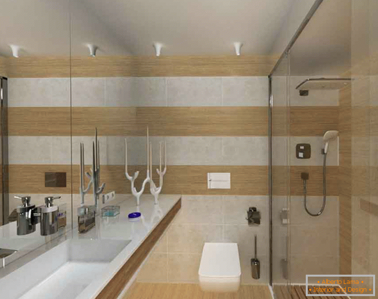 rozložení-koupelna-pokoj-kombinovaný-s-WC-foto-6