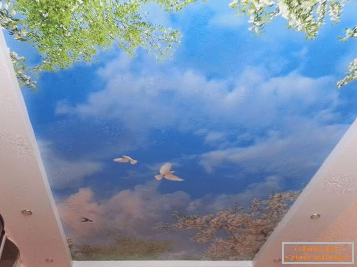 Stropní stropy s fotografickým potiskem jsou vhodné pro design každého pokoje. Harmonický obraz modré oblohy s bílými holuby bude vypadat zvláště atraktivní v pokoji pro hosty.