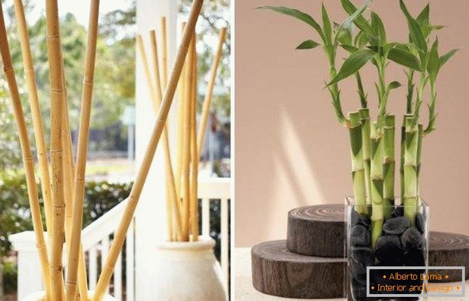 Bambus jako dekorace