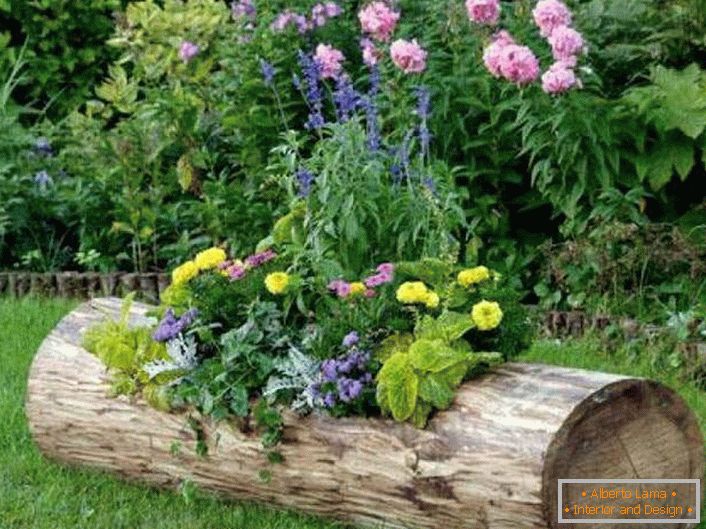 Květinová záhonka je zasazena do starého dřeva. 