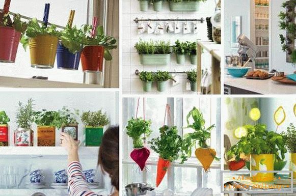 Originální kuchyňský dekor - fotky nápadů se zelenými bylinkami