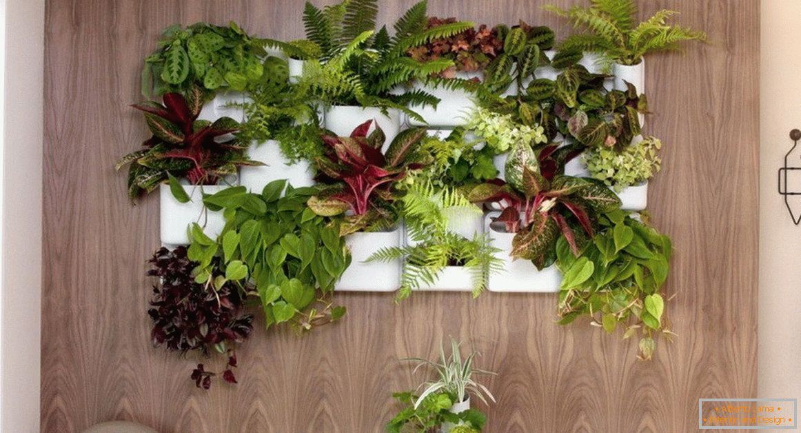 Indoor rostliny v interiéru