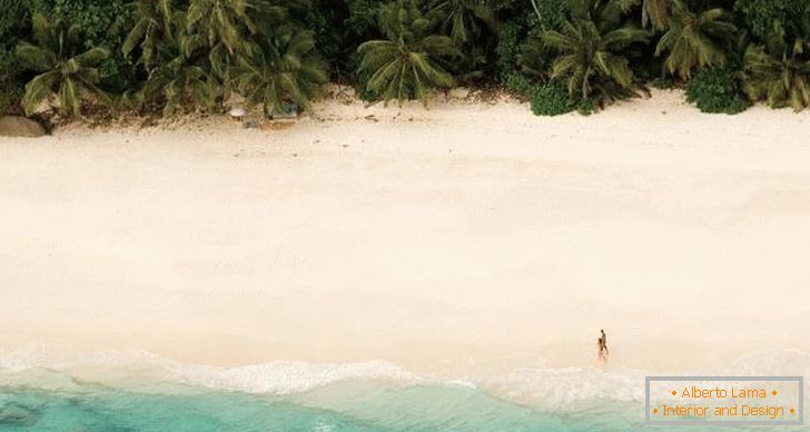 Líbánky na Seychelách