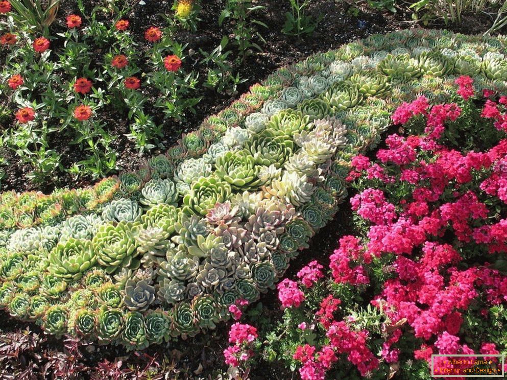 Dekorace květinové zahrady