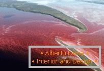 Nezvyklé červené jezero v severní Kanadě