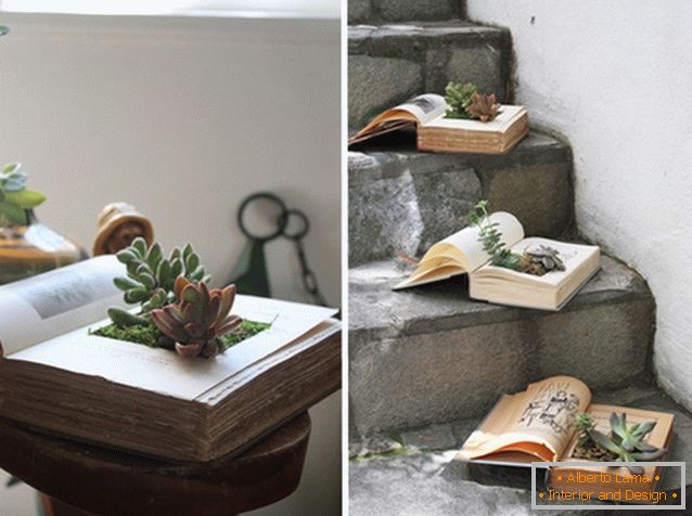 Pokojové rostliny v knize