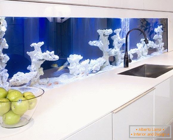 Akvárium s korály v kuchyni