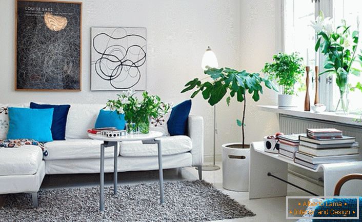 Šťavnaté akcenty modré a tyrkysové organicky vypadají na pozadí bílé dekorace obývacích stěn. Podle stylu v designu místnosti použité květiny.
