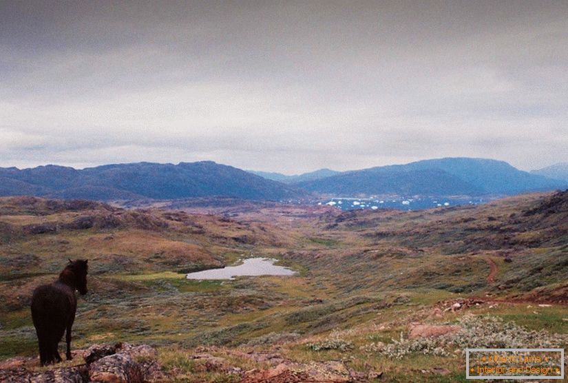 Плёночные пейзажи Гренландии Carmen Marcena