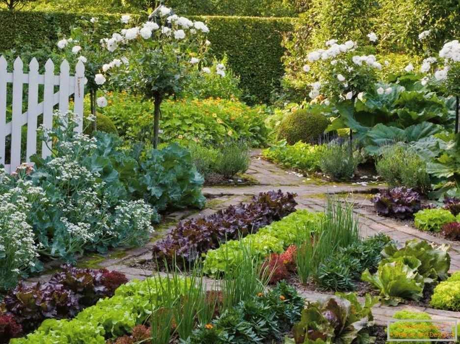 Zahrada a zahrada