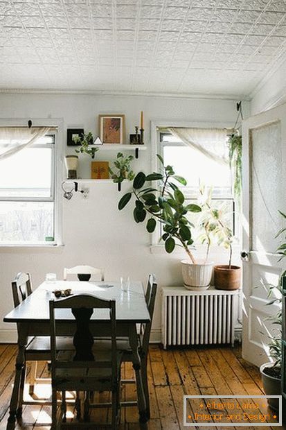 Rostliny v interiéru jídelny