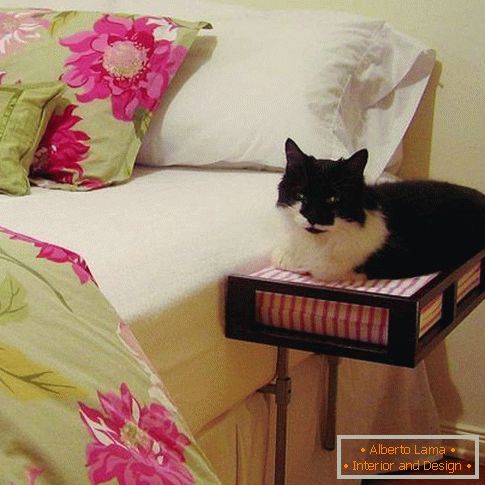 Noční stolek s místem pro kočku