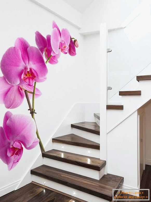Fotografie orchidejí na schodech
