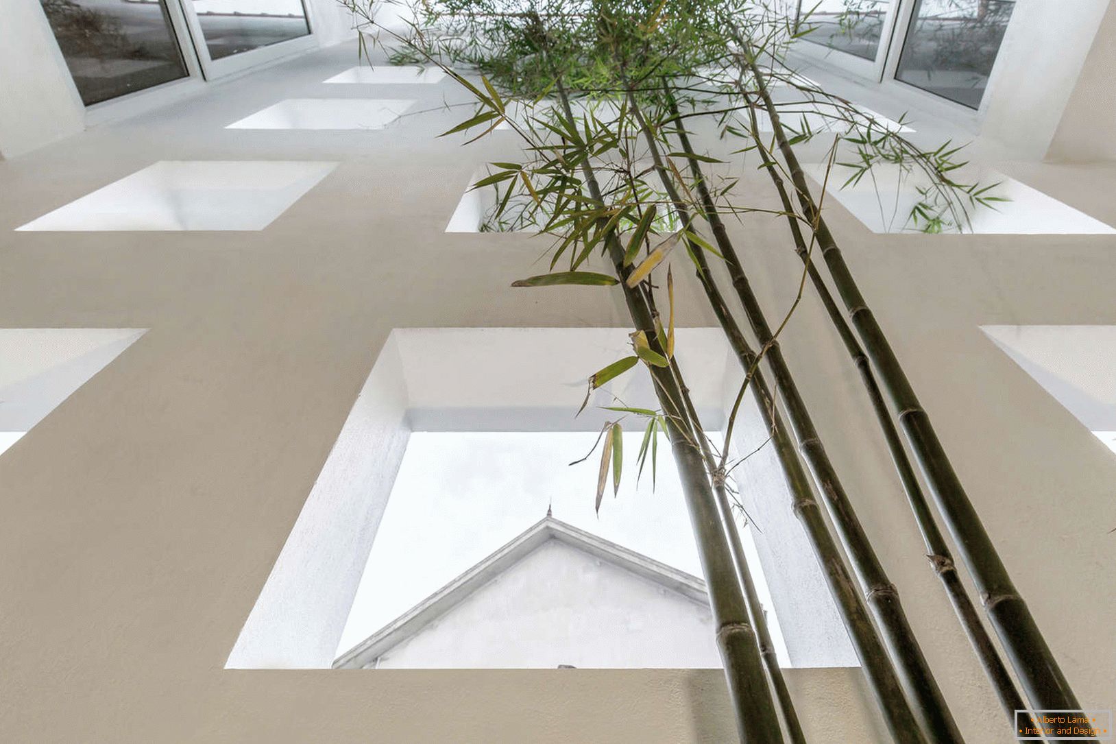 Bambus v úzkém betonovém domě