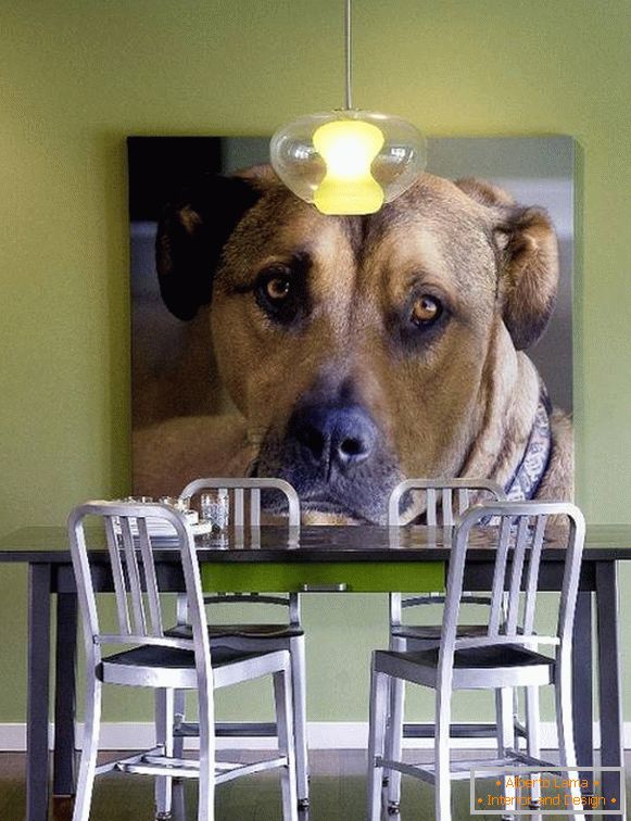 Foto psa jako dekorace zdi