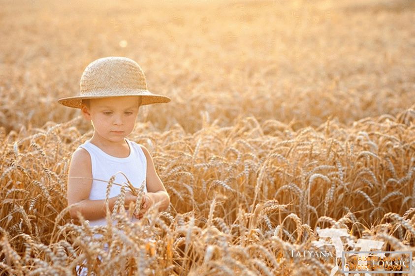 Dítě v pšeničném poli