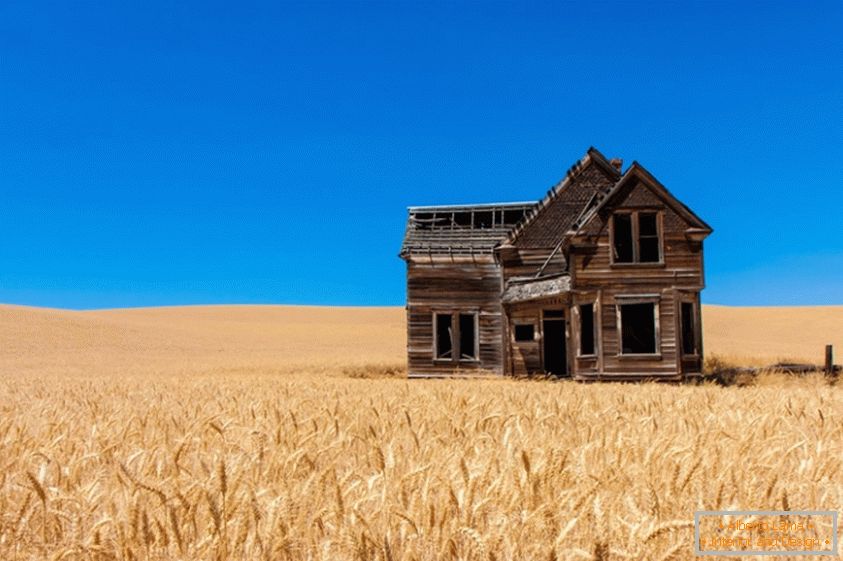Starý dům v pšeničném poli