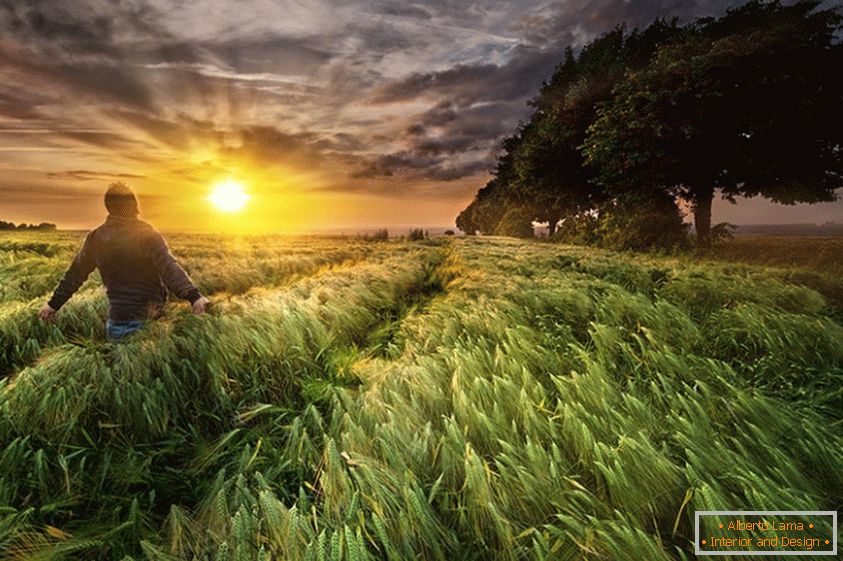 Muž v pšeničném poli, fotograf Paul Wozniak